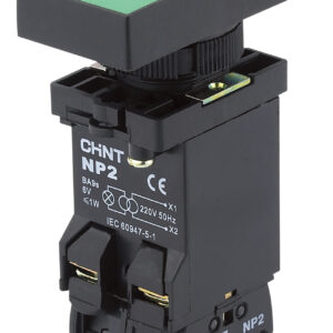 Botón de plástico doble NP2