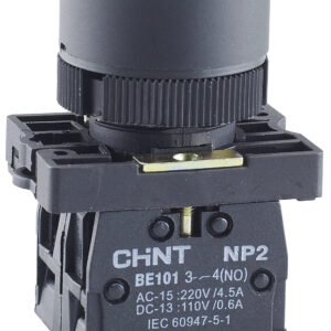 Botones plásticos NP2